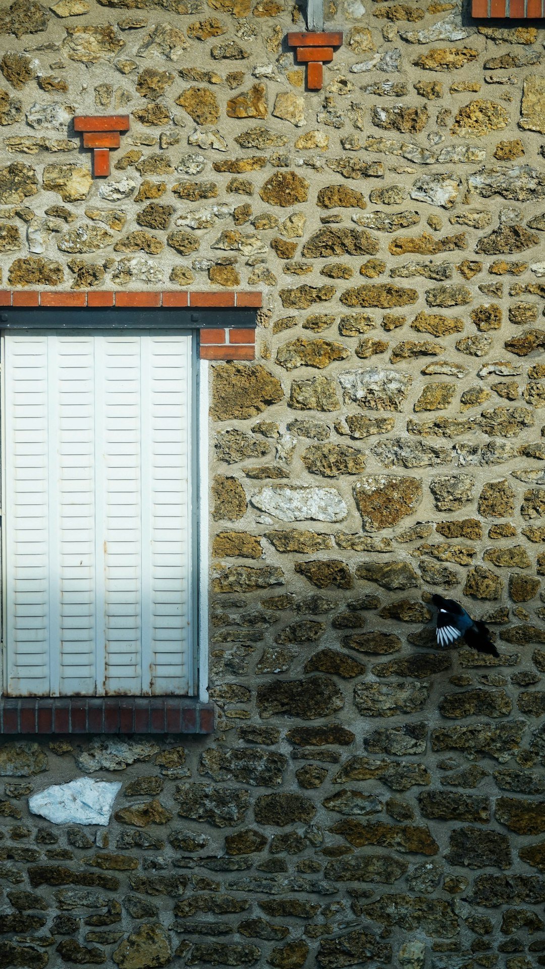 a bird flying past a window on a stone building