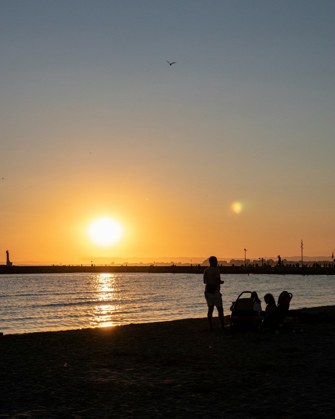 a person and a couple of dogs on a beach at sunset