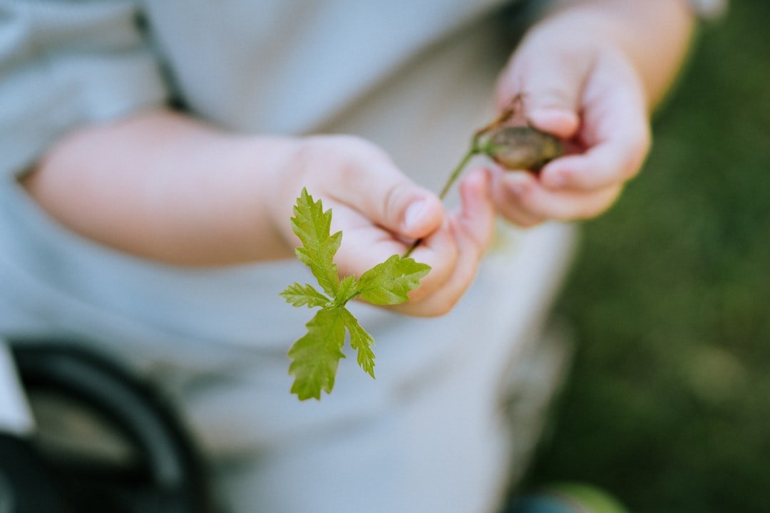 a person holding a leaf in their hands